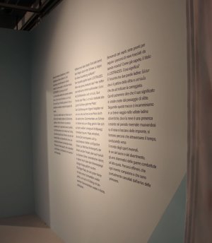 3435.jpg 3435.jpg